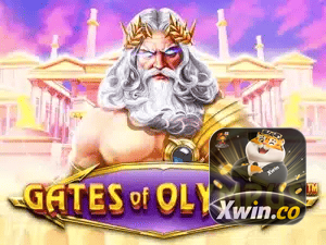 66XWIN APP mobile iOS Android - 187 mil downloads São Paulo Rio BH
